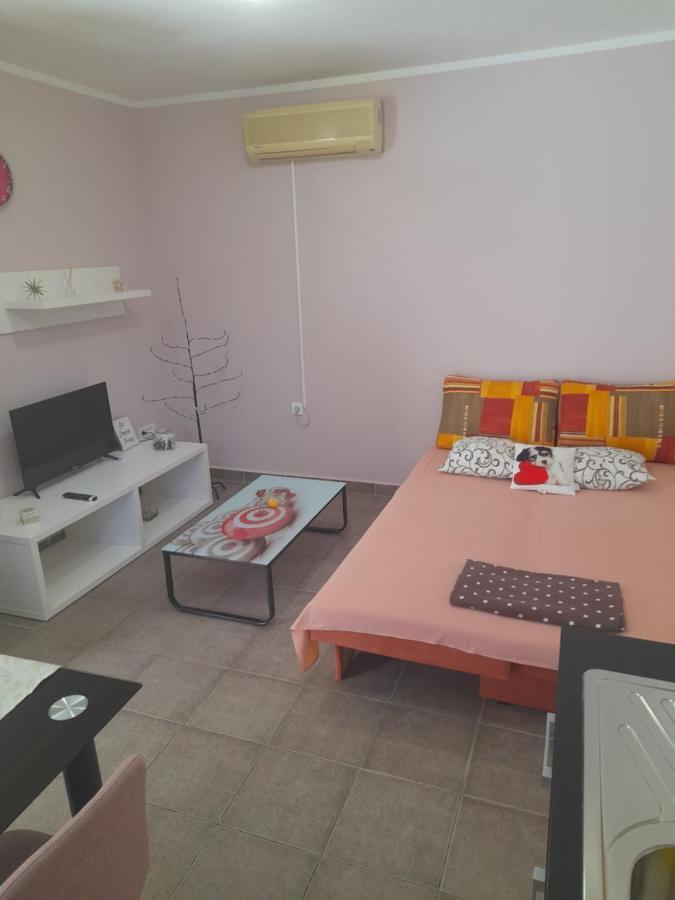 Apartment Dukic Sveti Filip i Jakov Dış mekan fotoğraf