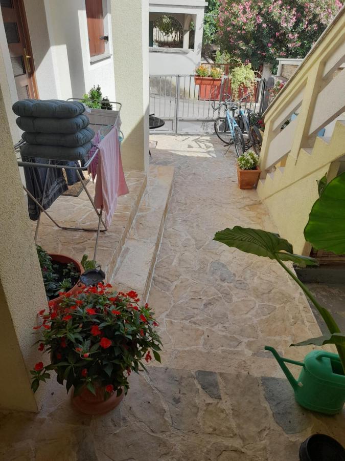Apartment Dukic Sveti Filip i Jakov Dış mekan fotoğraf