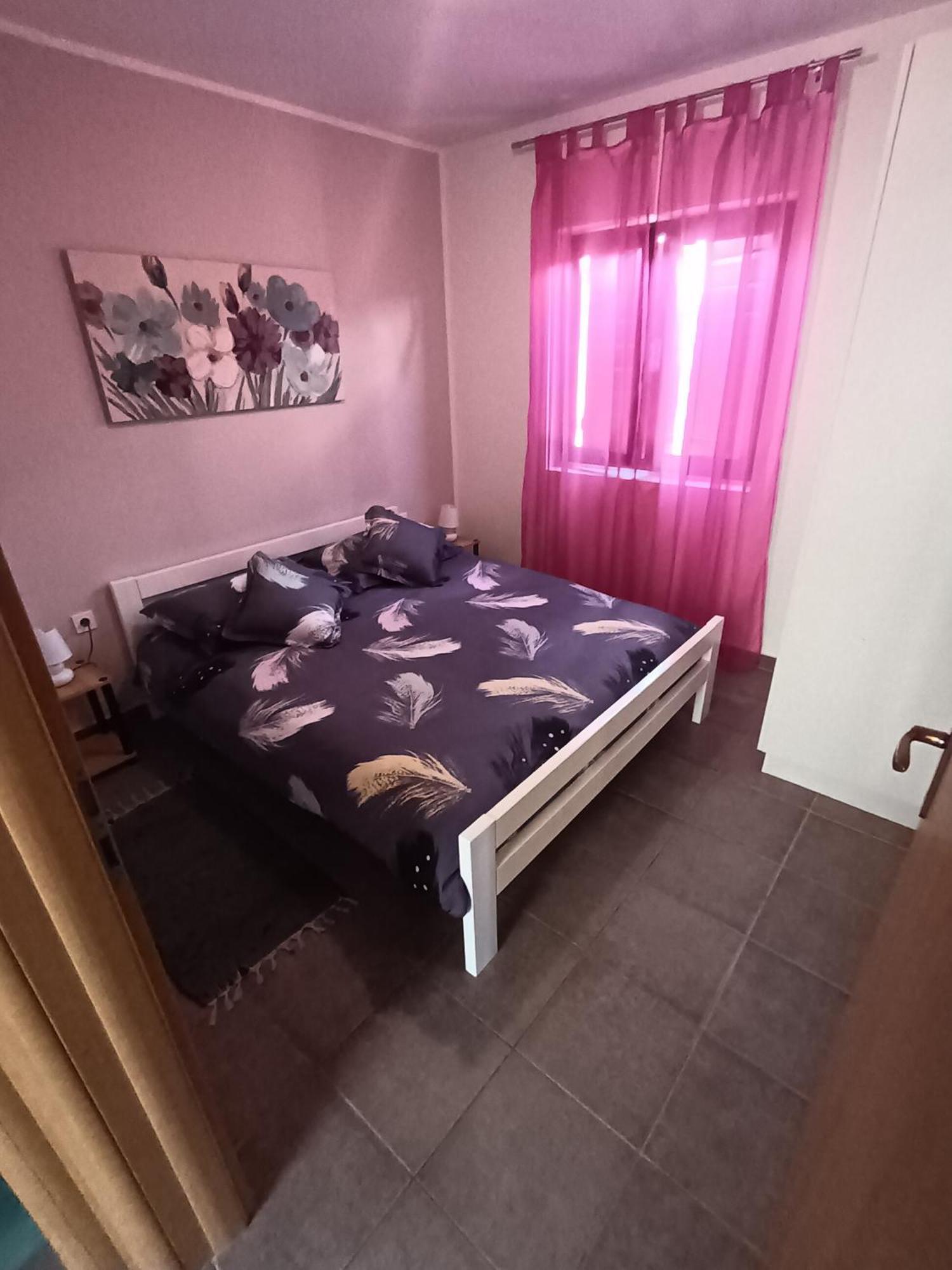 Apartment Dukic Sveti Filip i Jakov Dış mekan fotoğraf