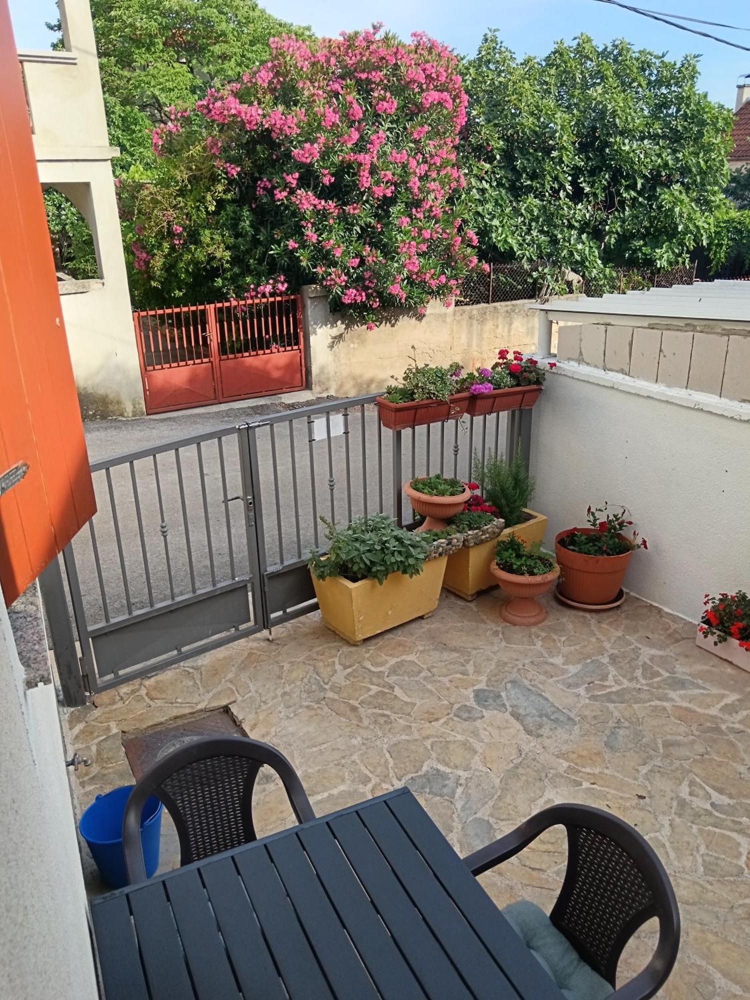Apartment Dukic Sveti Filip i Jakov Dış mekan fotoğraf