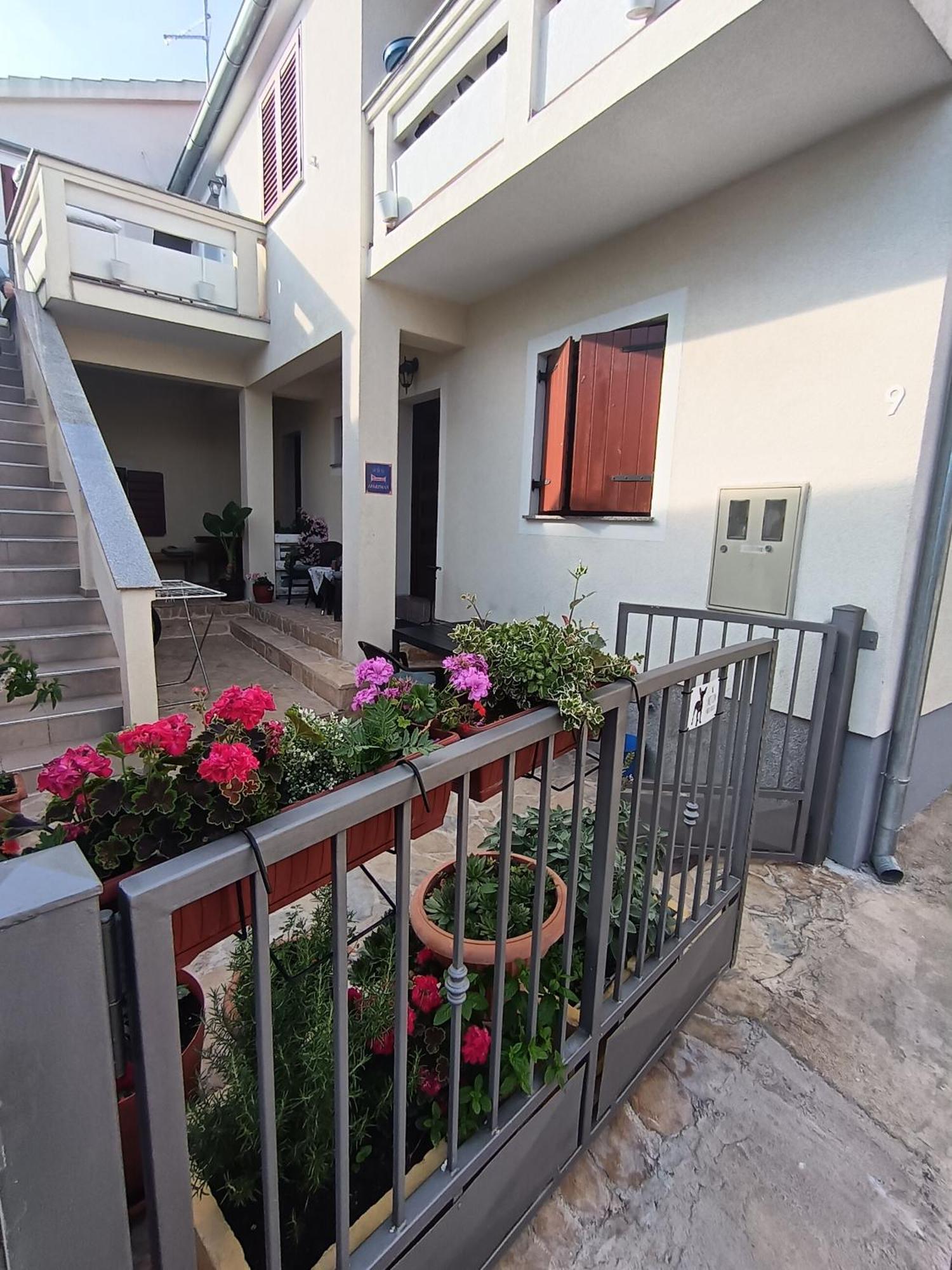 Apartment Dukic Sveti Filip i Jakov Dış mekan fotoğraf